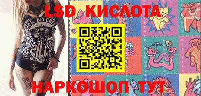 крисы Кунгур