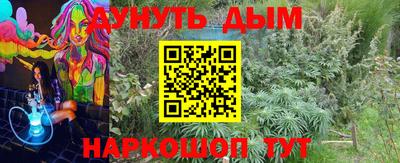 крисы Кунгур