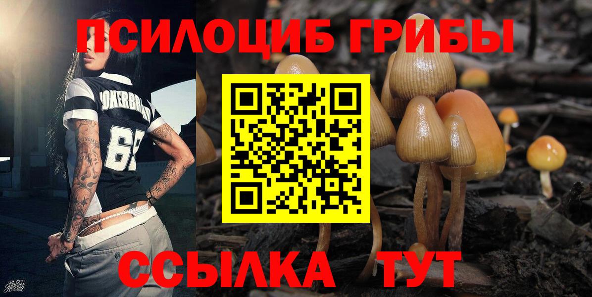 Галлюциногенные грибы мухоморы Изобильный